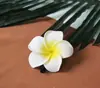 Cuenco de Coco Snacks Laos Tailandia Cesta de Palma para Batidos Tienda de Té con Leche Xishuangbanna Cesta Tejida Ruda de Burbujas