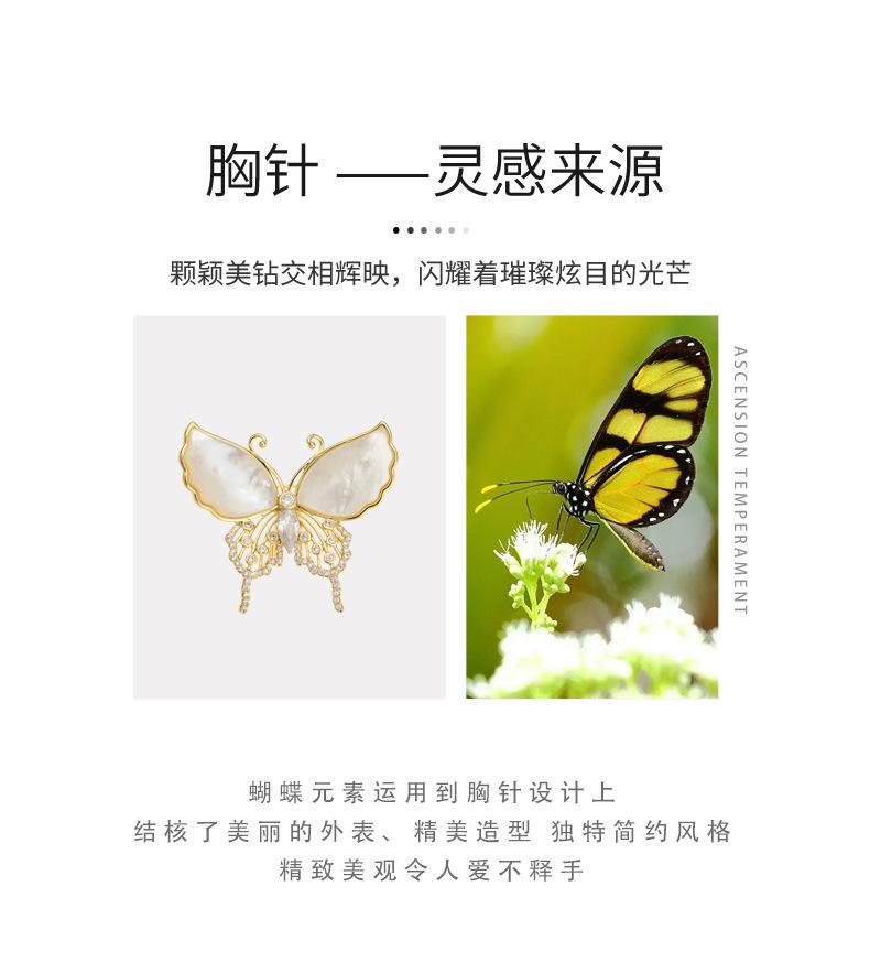 详情页_02.jpg