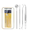 Herramientas Bucales de Acero Inoxidable Listas para Usar del Fabricante, Set de 6 Piezas de Herramientas Dentales, Kit de Eliminación de Sarro y Limpieza