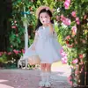 Vestido de Princesa para Niña Día del Niño Super Hada Primer Cumpleaños Vestido de Gasa Dama de Honor Boda Vestido para Niña Pequeña Falda de Tutú