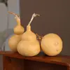 Directamente del fabricante: Calabazas decorativas naturales, adornos de mano, calabazas pequeñas para inquietos y calabazas retorcidas a mano