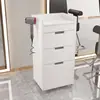Nuevo Gabinete de Herramientas para Barbería Gabinete para Salón de Peluquería Carrito Móvil Gabinete de Almacenamiento de Herramientas de Madera Maciza Móvil Sin Instalación