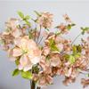 Flores de Peonía Silvestre Artificiales para Decoración del Hogar, Accesorios para Fotos, Ramilletes de Boda y Decoraciones para Escenarios