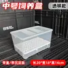 Caja de Mejora de Color para Tortugas, Caja de Cría de Tortugas Bebés, Caja de Aislamiento Blanco y Negro con Calefacción para Huevos de Tortuga, Kit de Cría de Tortugas Bebés con Placa de Sedimentación