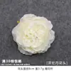 Casamento Branco Flor Real Hortênsia Flor Falsa Arranjo de Casamento Arranjo de Flores Material Floral Rosa Flor Decorativa Flor de Seda