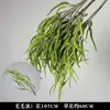 Plantas Verdes, Hierba de Junco, Hierba Bigote de Dragón, Fondo de Boda, Paisajismo de Ventana Floral, Flores Decorativas para Boda en Bosque Blanco y Verde