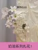 2026 Fundo de Casamento Decoração de Local Decoração de Recepção de Casamento Roupão de Noivado Branco Estilo Francês Fundo para Foto de Hotel
