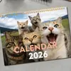 Calendário de Novos Produtos Transfronteiriços para Mulheres Cansadas 2026
