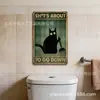 Placa de lata de gato chef de cozinha peculiar estilo americano, feita sob medida, chapa de flandres verde envelhecida, para decoração de casa transfronteiriça