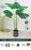 Planta Verde Monstera Bambu Simulação Nórdica Planta Grande Biónica em Vaso Planta Falsa Decoração de Sala de Estar Interna Ornamento de Chão Árvore