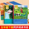 O Segundo Volume da Série de Livros Alfabetização Essencial da Língua Chinesa para o Ensino Fundamental de Quinta Série, Completa com 8 Volumes, É Recomendado por Professores para Leitura Extracurricular: Rio Hulan