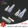 Terminal de Mola + Conector Fêmea com Capa 2,8/4,8/6,3mm Conexão por Encaixe Terminal de Crimpagem a Frio Conector de Cobre