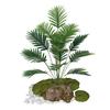 Planta verde de simulación, cola suelta, kwai grande, 18, decoración de plantas de interior europeas, paisaje exterior, hoja de hierro, fábrica al por mayor