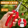 Tesoura de poda tesoura de jardim aço inoxidável enxertia tesoura para árvores frutíferas tesoura para galhos de flores ferramentas para jardinagem arranjo de flores
