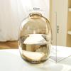 Jarrón de Vidrio Ovalado Grande Simple Transparente Recipiente para Arreglos Florales para Flores Frescas y Arreglos de Plantas Adorno de Decoración para Sala de Estar del Hogar