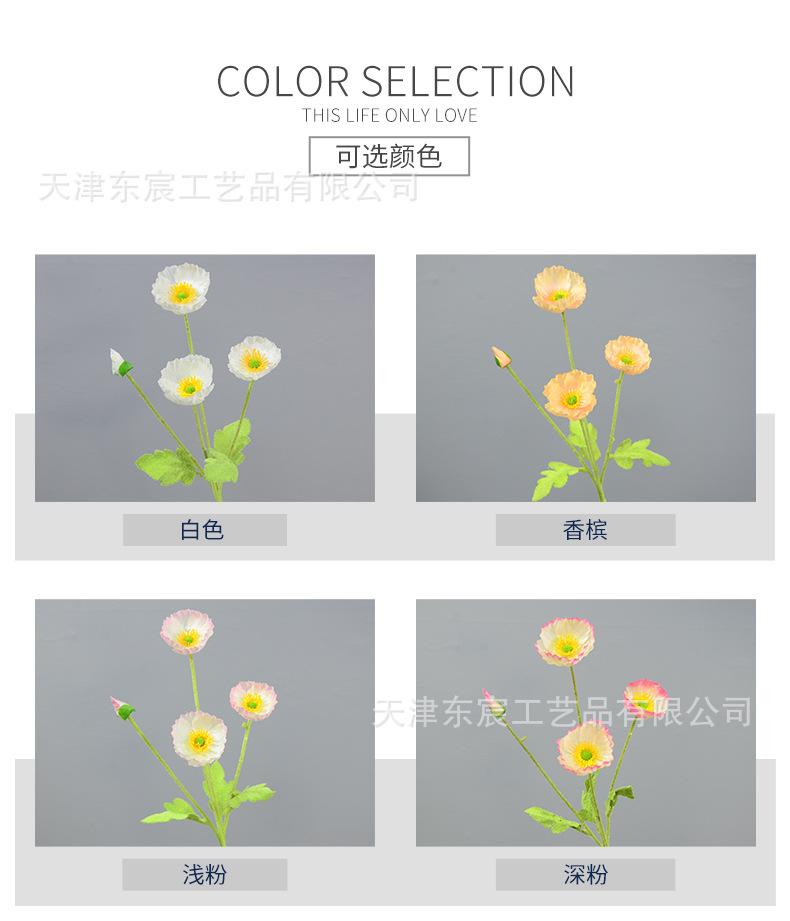 详情_02.jpg