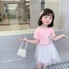 Ropa para Niños Comercio Exterior Traje de Falda Plisada de Malla para Niña Verano Niños Unicornio Malla que Cambia de Color Vestido de Dos Piezas de Manga Corta