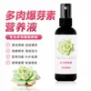Bublastin Carnudo Especial Promoção de Crescimento Flor Bublastin Planta Bublastin Dumpty Solução Nutritiva Orquídea Bublastin