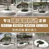 Asientos para Piscina de Árboles de Fibra de Vidrio para Paisajismo Exterior, Área de Ocio de Centro Comercial, Taburetes Redondos de Forma Especial, Albercas y Maceteros, Fabricado en Fábrica