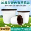 Vaso Espessado de Duas Cores Vaso Branco para Suculentas Vaso para Plantas Verdes Jardinagem Vaso Macio de Plástico para Mudas Cor Cinza Branco Bloco de Cor Vaso Simples