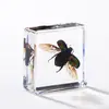 A Fábrica de Artesanato Zhongkun vende espécimes de insetos genuínos como itens decorativos, embutidos em resina de alta transparência, como brinquedos científicos educativos para crianças.