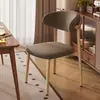 Mesa y sillas de comedor nórdicas, silla de respaldo de lujo ligero de restaurante informal de moda en internet, silla de comedor con forma de cuerno, silla simple moderna para el hogar y el hotel