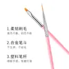 Manicure Transfronteiriça Conjunto de Ferramentas de 15 Peças Caneta de Fototerapia Caneta de Cristal Caneta de Pintura Caneta de Silicone Caneta de Pontos Pincel Atacado