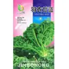 Sementes de Couve, Hortas de Fazenda, Fácil de Cultivar no Norte e no Sul, Sementes de Repolho Verde de Rápido Crescimento, Boa Qualidade