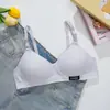 Ropa Interior Sudeste Asiático Transfronteriza Estudiante Algodón Sin Aros Chica Parque de Atracciones Sujetador Delgado Sujetador Push-Up Simple