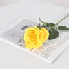 Rosas Simuladas de Veludo, Rosas de Pérola, Decoração de Parede de Rosas para Casa, Hotel, Casamento, Dia dos Namorados, Flores de Seda, Flores Artificiais