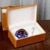 Yuerui Latas de Té Esmaltadas Cajas de Regalo Almacenamiento de Materiales Medicinales de Alta Gama Sello Pequeño Altar Cerámico Botella de Té Grande Vacía