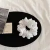 Goma para el Pelo Pequeña Plisada Color Crema Fresco con Purpurina Fina en Forma de Estrella Estilo Coreano Versátil Accesorio Elástico para el Pelo para Mujeres