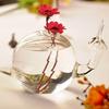 Vaso Criativo Lindo Estilo Europeu de Caracol Vaso de Flores Hidropônicas Moda Acessórios para Casa Artesanato Garrafa de Aromaterapia Enfeites