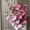 Alta qualidade 8 cabeça flor de cerejeira lábio borboleta orquídea sentir Phalaenopsis mesa nórdica decoração foto adereços design floral