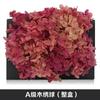 Hortensia de madera con degradado de color, flor eterna, rosa eterna, caja de regalo, material floral, flor seca, flor de preservación, material floral eterno