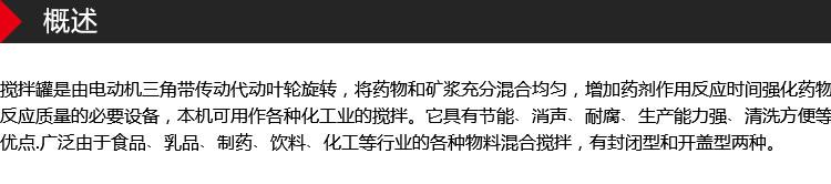 电加热搅拌罐_02.jpg