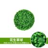 Plantas Artificiales para Centros Comerciales, Supermercados, Decoraciones de Techo de Hoteles, Plantas Verdes, Eucalipto de Milán, Accesorios para Fotografía, Alta Simulación
