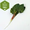 Juguete de Berenjena Grande Modelo de Fruta Vegetal Falsa Biónica Arreglo de Escena Adorno de Cocina Accesorio de Fotografía Vegetal de Imitación