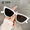 Gafas de Sol Estilo Europeo y Americano Cat-Eye Hip-Hop Jamie 5081 para Mujer con Patas de Cadena Únicas, Gafas de Sol de Marco Pequeño Transfronterizas Ins para Hombre
