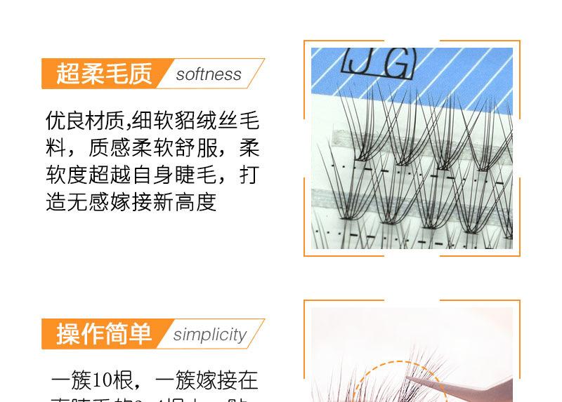 山茶花朵毛-(2)_03