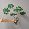 Decoración de pared de planta de simulación de interior, colgante de pared de planta verde, eneldo verde, caparazón de tortuga, maranta, colgante de pared de fondo para el hogar, hoja verde