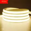 Tira de luces LED de alto brillo de 110V, impermeable para exteriores, para balcón, jardín, decoración del hogar interior, especialmente diseñada para Taiwán y Estados Unidos, iluminación ambiental