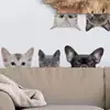 Sondagem Transfronteiriça Pequeno Animal Gato e Cachorro Adesivos de Parede Quarto Sala de Estar Entrada Parede de Fundo PVC Autoadesivo Removível