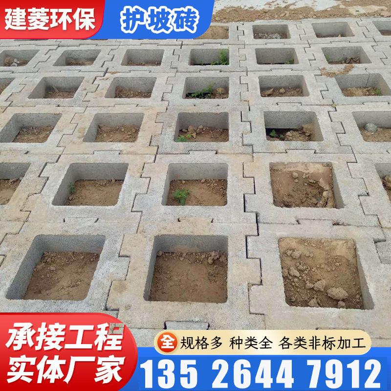 主图水印_2024-02-18 02:15