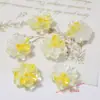 Liquidación 22mm Transparente Degradado Cristal Imitación Flores de Resina DIY Funda de Teléfono Accesorios para el Cabello Decoración de Jarrones Cajas Materiales