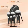 Kit de Pincéis de Maquiagem Mini com 10 Peças, Cabos de Cristal, Estilo Portátil para Viagem, Pincel para Pó, Pincel para Contorno, Pincel para Blush