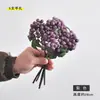 Fornecimento Exclusivo Transfronteiriço de Cachos de Frutas Artificiais de 5 Peças: Fruta Silvestre, Fruta Espuma, Fruta Vermelha de Natal, Buquê de Frutas de Mirtilo, Pequenas Frutas Artificiais