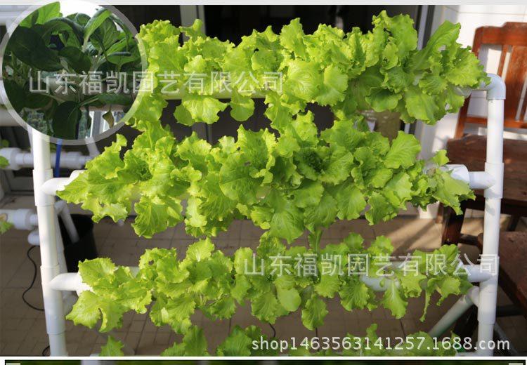 S01#定植篮详情页_16