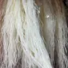 Hierba Barba de Dragón Eterna, Hierba de Junco, Flores Reales, Venta al por Mayor Fabricante de Yunnan, Serie Fuegos Artificiales de Ensueño, Materiales Florales para Cortinas de Boda, Decoración Suave