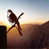 Suministro Transfronterizo de Estación Independiente Silueta de Pájaro Búho Colibrí Pájaro Carpintero Petirrojo Serie Silueta de Pájaro Enchufe para Jardín
